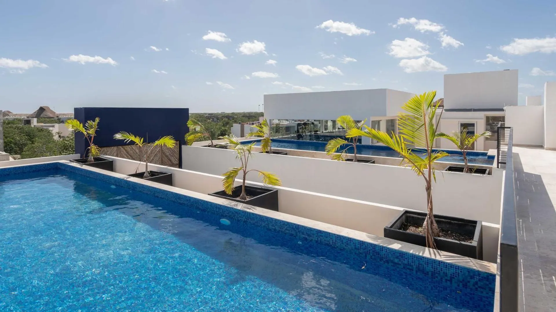 Apartment Penthouse Suite With Private Plunge Pool Tulum